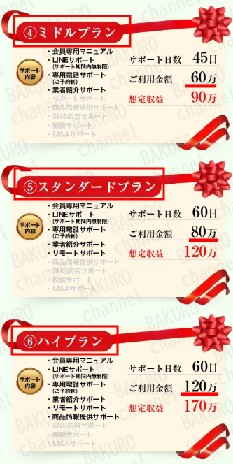 株式会社リテラシーの副業トレンドのサポートプラン料金表