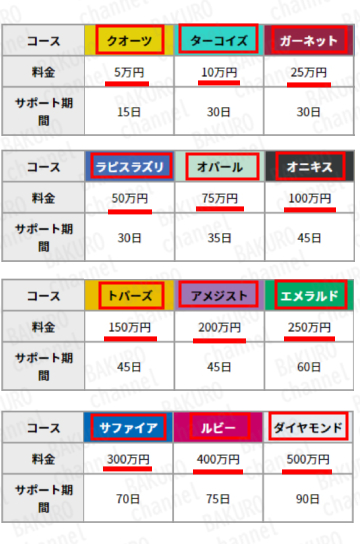 合同会社FMのスマホ副業ベンチャーのサポートプラン表