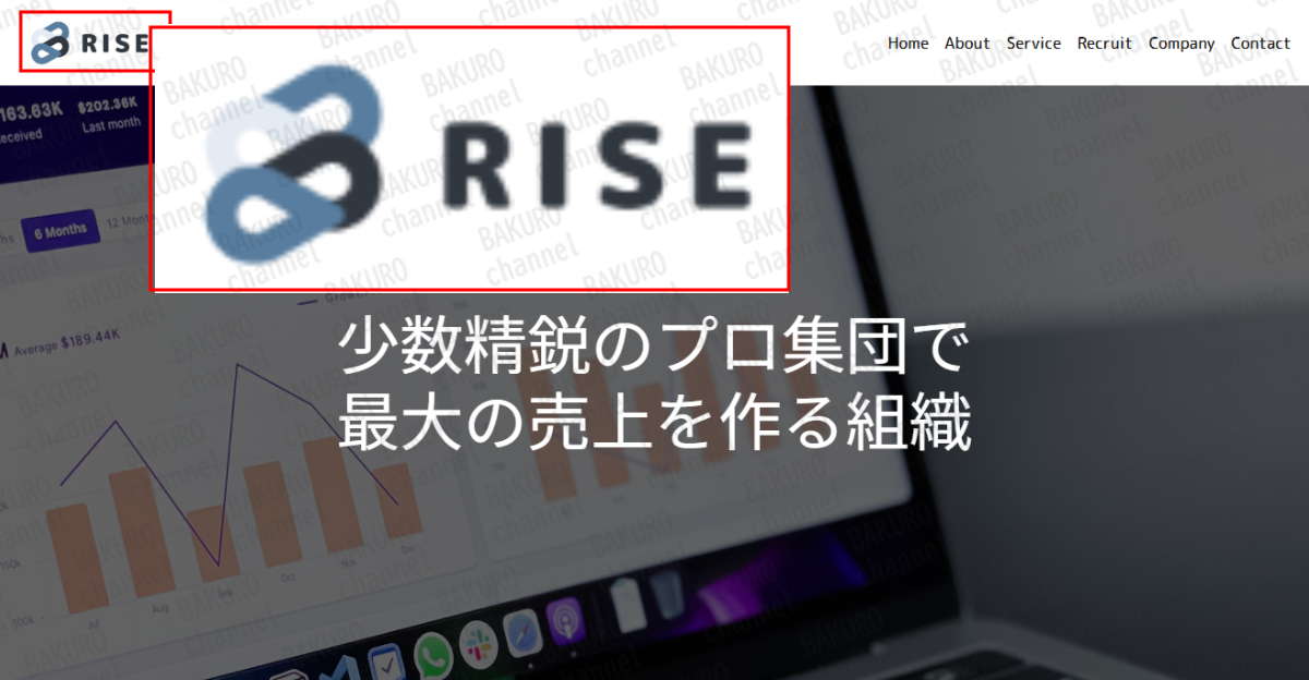 スマホ副業スキマリッチを販売する株式会社ライズの会社ホームページ