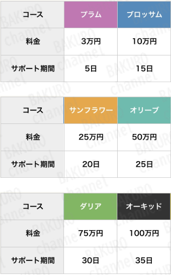 合同会社WALLSの物販副業最新ECサイトのサポートプラン料金表