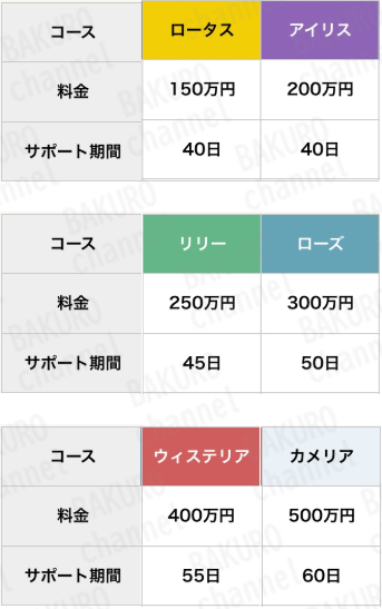 合同会社WALLSの物販副業最新ECサイトのサポートプラン料金表