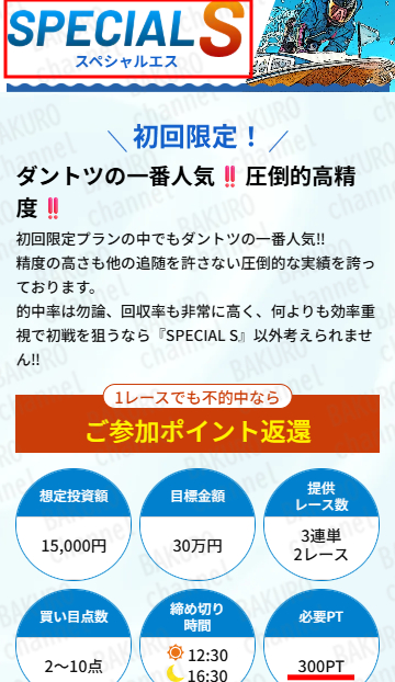 株式会社Office Cleu（オフィスクルー）が提供する競艇RUSH（ラッシュ）のプラン料金表