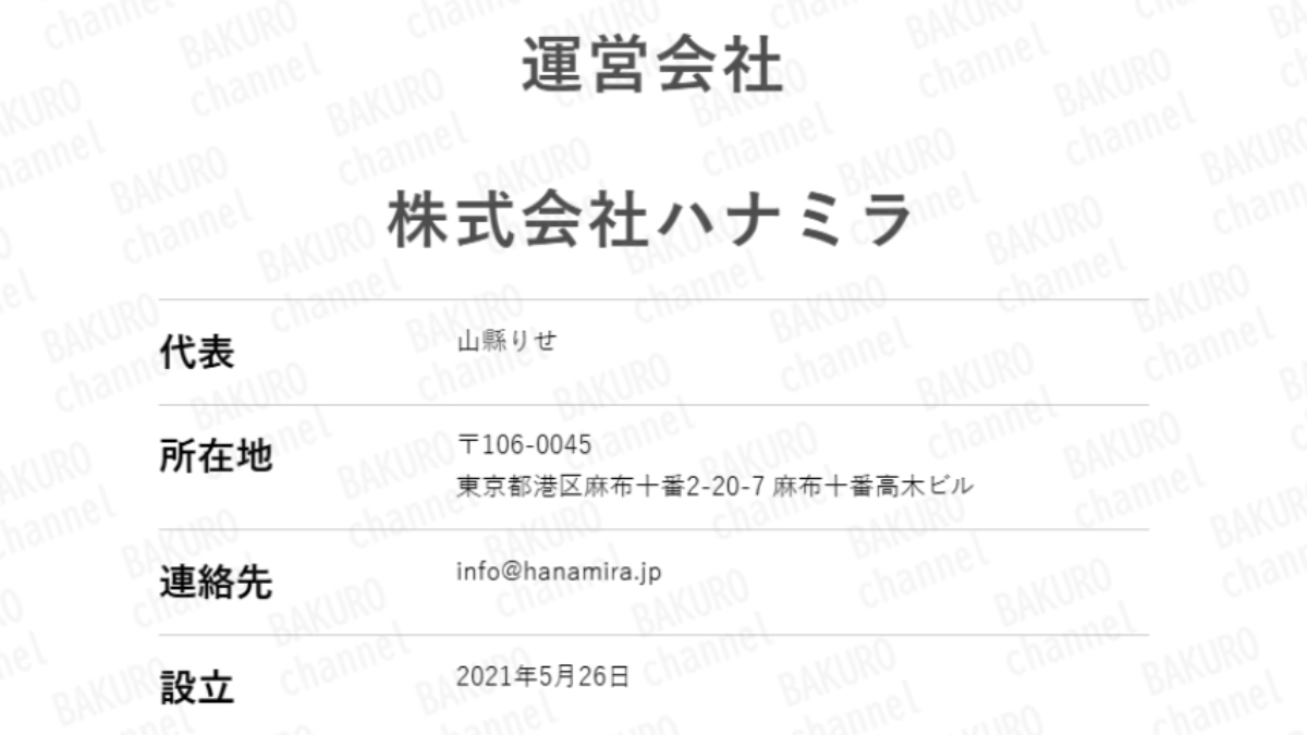 松下りせの女性向けの資産運用スクール、ハナミラを提供する株式会社ハナミラの会社ホームページ