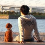 eBayカメラ輸出コンサルを提供する岩切久斗