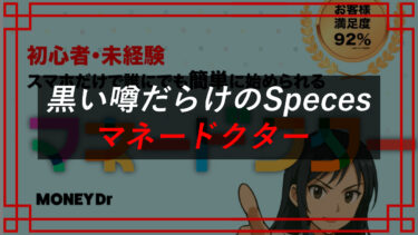 マネードクターの副業は怪しい？spacesは投資詐欺！？AI資産運用の口コミは？