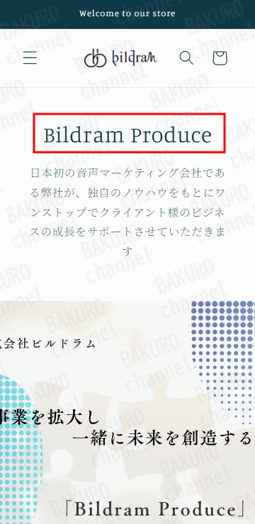 （株）ビルドラムの佐藤ひじりの音声SNS副業、ビジネスコンサル（Bildram Produce）