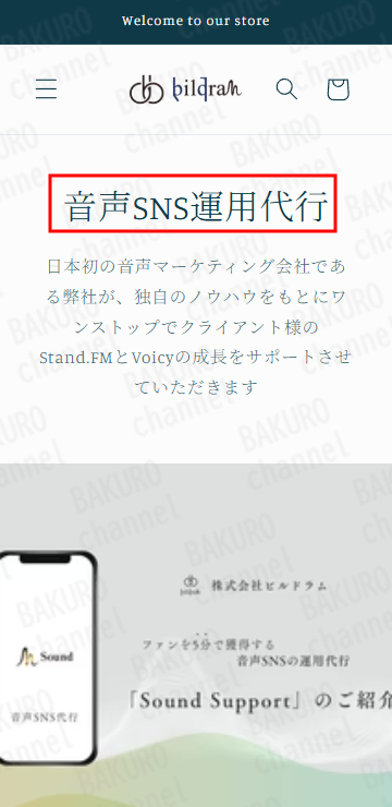 （株）ビルドラムの佐藤ひじりの音声SNS副業、音声SNS副業