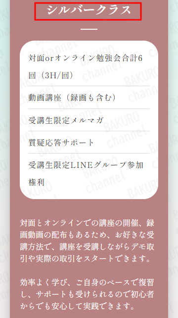 株式会社VisionCreatorが提供する武藤孝幸のマネースクールの広告にあるシルバークラス