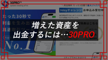 30PROは投資詐欺！？AIツールで元手30万円から資産総額いくらに！？