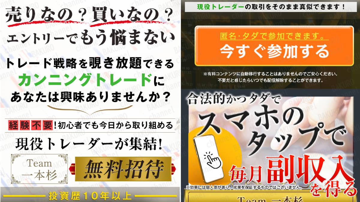 株式会社サンライズが提供するTEAM一本杉FXの専門学校の広告