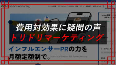 トリドリマーケティングモデル店舗は詐欺！？評判は？株式会社トリドリ（中山貴之）
