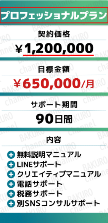 合同会社エディットライン（増田雄介）のSNSアフィリエイトのSNS運用のコンサルティングサポートプラン