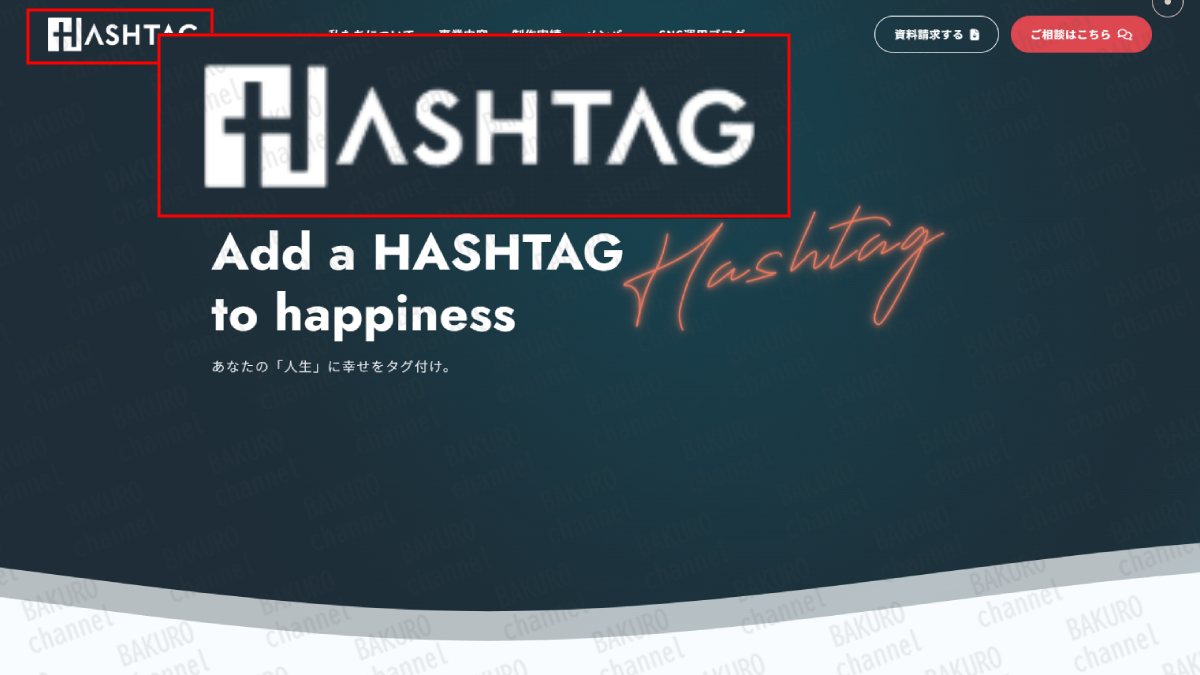 シャドーインスタグラマー養成スクール HASH HACK(ハッシュハック)を提供する株式会社ハッシュタグの会社ホームページ