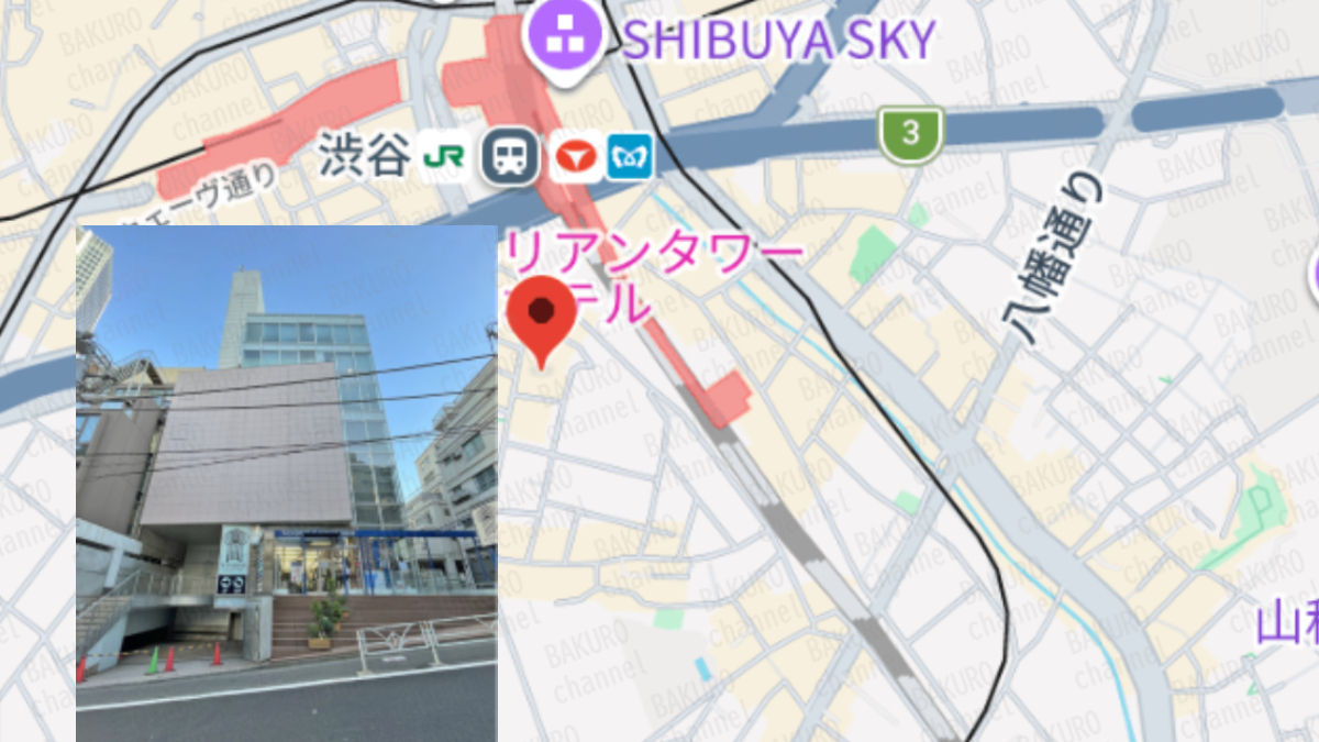 株取引ソフトウェア株式LABOを提供する株式会社ライズの所在地地図