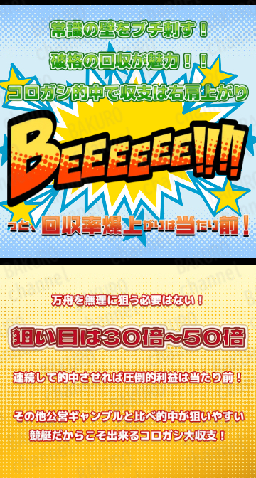 BEE BOAT運営事務局が運営する競艇予想サイトBEE BOAT（ビーボート）の広告