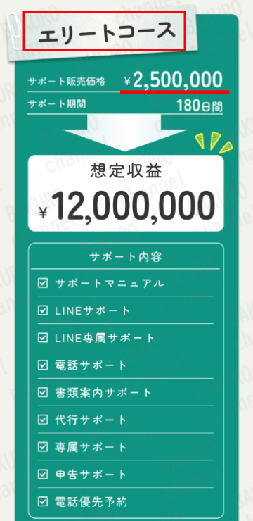 合同会社dotnet(ドットネット)の副業次世代スマホワークのサポートプラン
