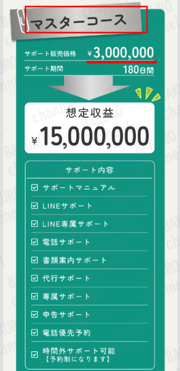 合同会社dotnet(ドットネット)の副業次世代スマホワークのサポートプラン