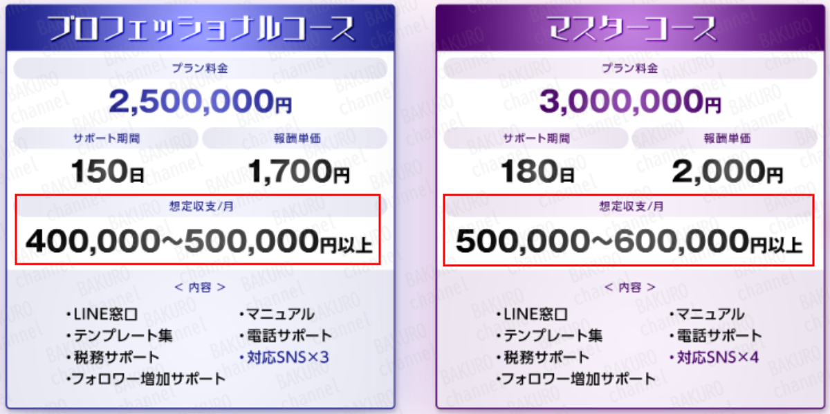 合同会社Allure(アリュー)が提供する運営サポート(SNSコンサルティングサポート)、アフィリエイトサポートカリキュラム
