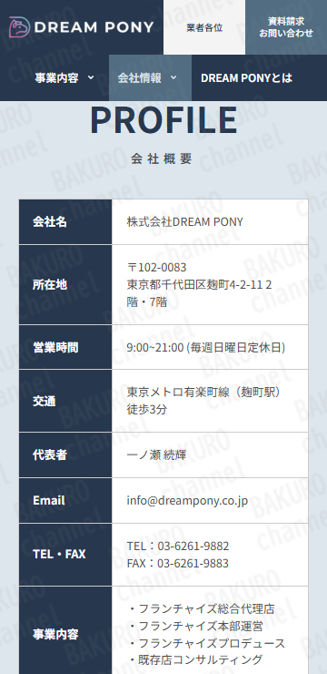 最新ネットショップビジネスであるDream Pony System（ドリームポニーシステム）のフランチャイズ加盟店募集をしている株式会社DREAM PONY（ドリームポニー）の会社ホームページ
